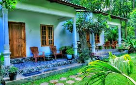 Dambulla Shan Inn